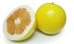 娱乐圈柚子君吃瓜